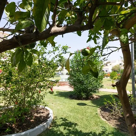 Apartment El Arco *